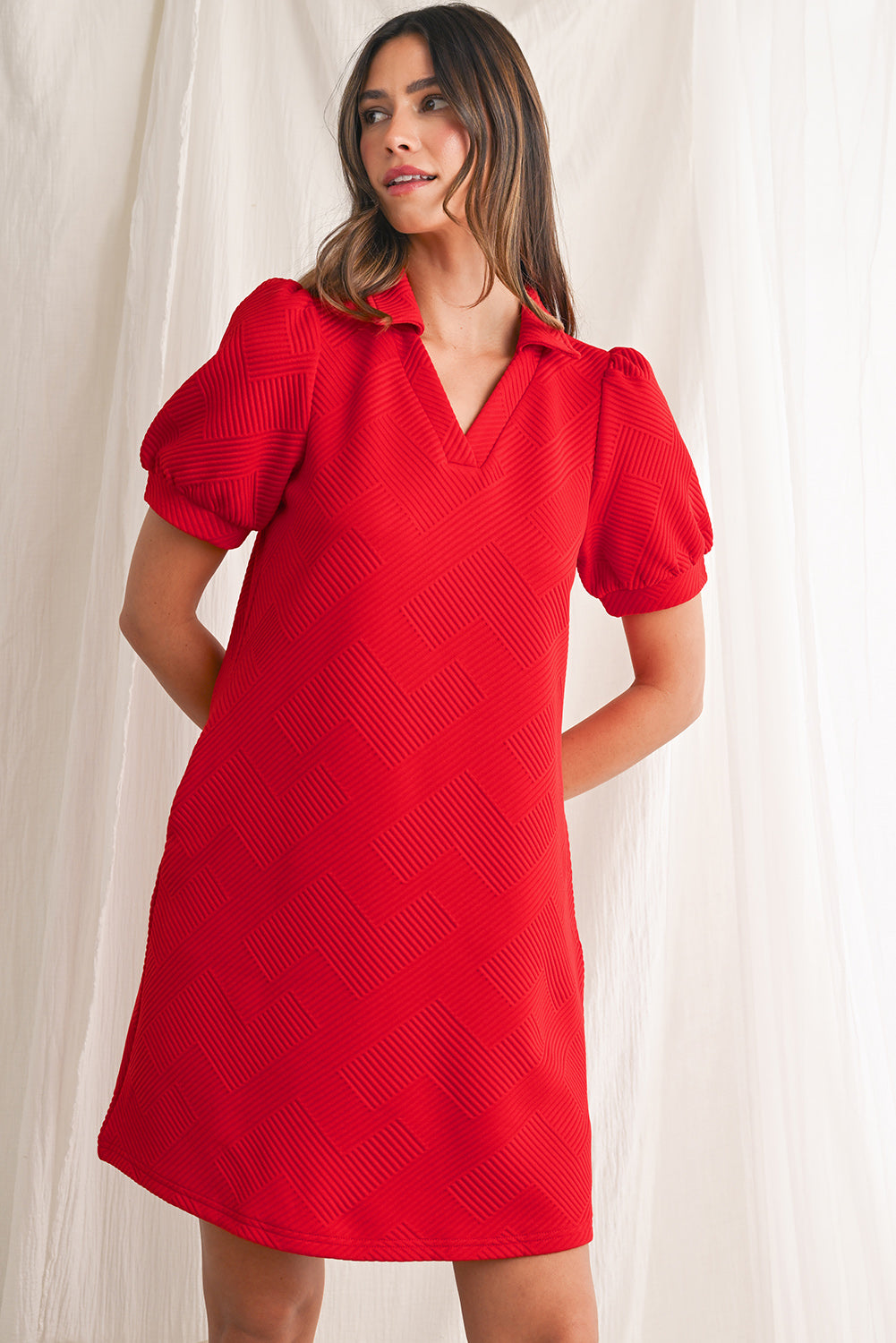 Fiery Red V Neck Puff Sleeve Textured Mini Dress