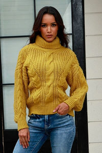 Cable-Knit Turtleneck Long Sleeve Sweate